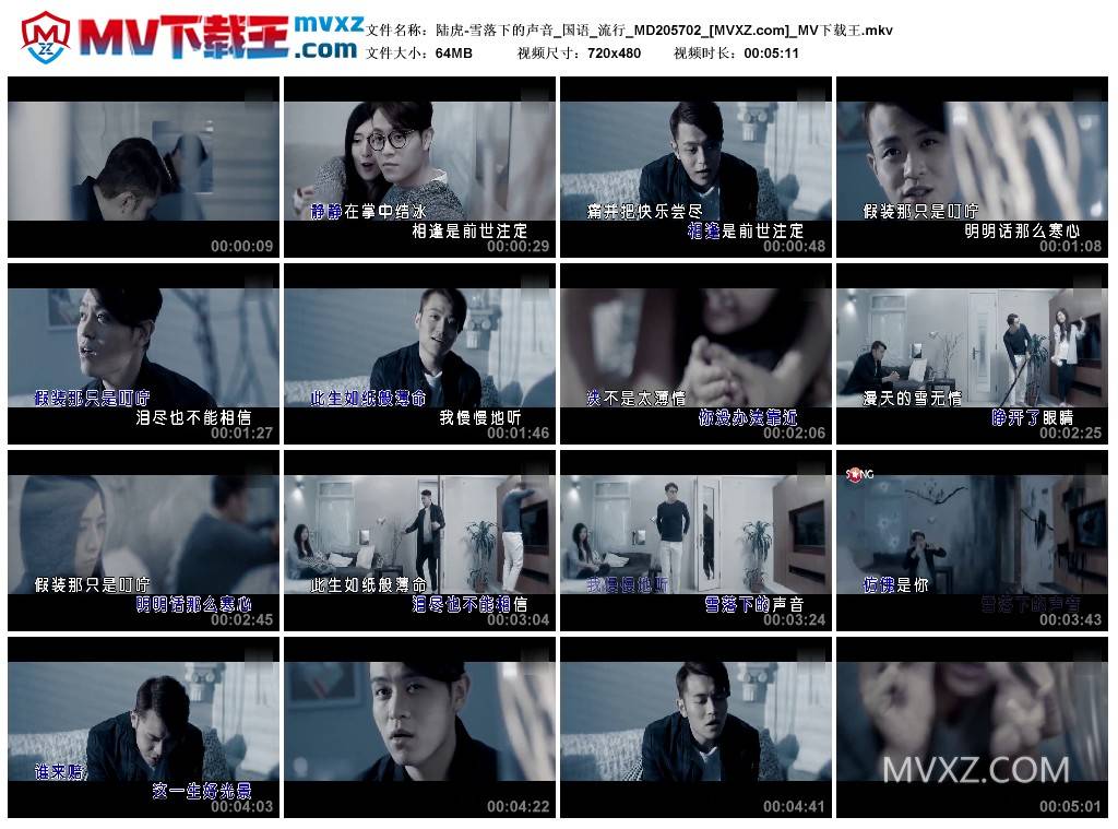 陆虎-雪落下的声音_国语_流行_MD205702